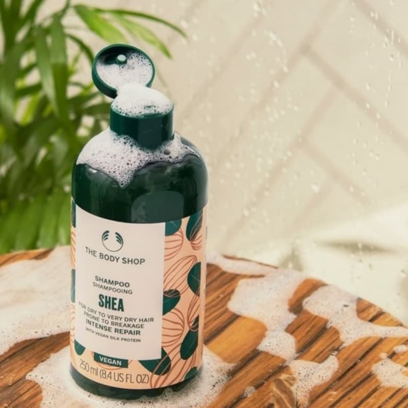 *Shea Butter Richly Replenishing Shampoo*